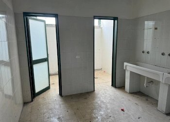 Foto 19 - Capannone Via I° Maggio, Nereto - foto 19