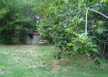 Foto 14 - Villa Via Galilei
 
425, Giulianova - foto 14