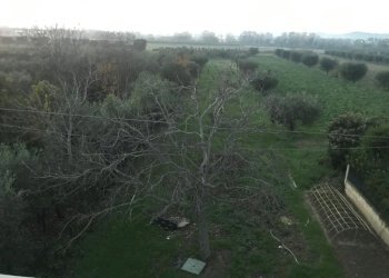 Foto 11 - Stabile - Palazzo Via Romualdi, Roseto degli Abruzzi - foto 11