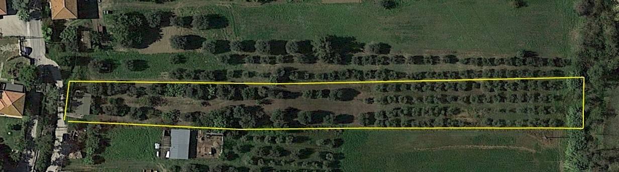 Foto 1 - Terreno agricolo Colle Vraddo, Roseto degli Abruzzi - foto 1