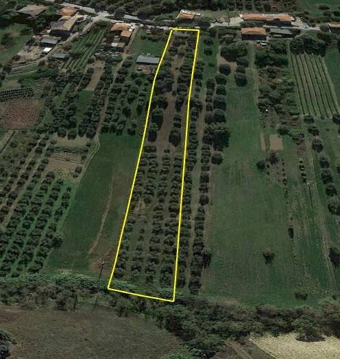 Foto 3 - Terreno agricolo Colle Vraddo, Roseto degli Abruzzi - foto 3