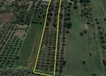 Foto 3 - Terreno agricolo Colle Vraddo, Roseto degli Abruzzi - foto 3