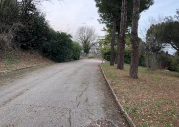 Foto 5 - Terreno edificabile contrada Vascello, Tortoreto - foto 5