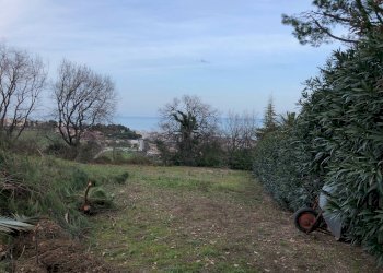 Foto 9 - Terreno edificabile contrada Vascello, Tortoreto - foto 9