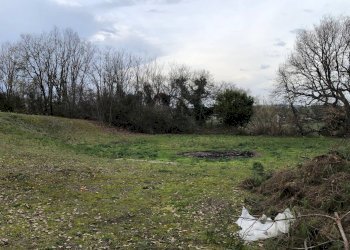 Foto 10 - Terreno edificabile contrada Vascello, Tortoreto - foto 10