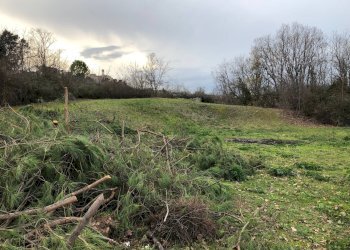 Foto 11 - Terreno edificabile contrada Vascello, Tortoreto - foto 11