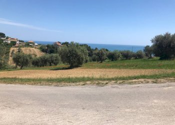 Foto 14 - Terreno edificabile contrada Vascello, Tortoreto - foto 14