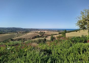 Foto 19 - Villa Via V. Cerulli
 
14A, Roseto degli Abruzzi - foto 19