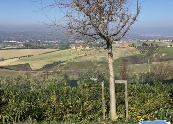 Foto 20 - Villa Via V. Cerulli
 
14A, Roseto degli Abruzzi - foto 20