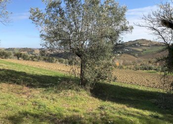 Foto 15 - Rustico Carosi, Civitella del Tronto - foto 15