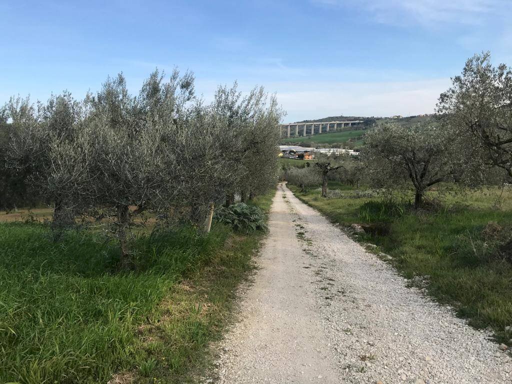 Foto 3 - Terreno agricolo Via Prato
 
5, Tortoreto - foto 3