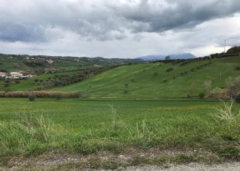 Foto 4 - Terreno agricolo Via Prato
5, Tortoreto - foto 4