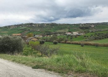 Foto 6 - Terreno agricolo Via Prato
5, Tortoreto - foto 6