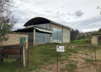 Foto 7 - Terreno agricolo Via Prato
5, Tortoreto - foto 7