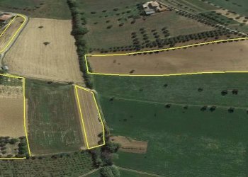 Foto 11 - Terreno agricolo Via Prato
5, Tortoreto - foto 11