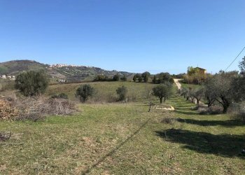 Foto 6 - Villa Via colle alto, Sant'Omero - foto 6