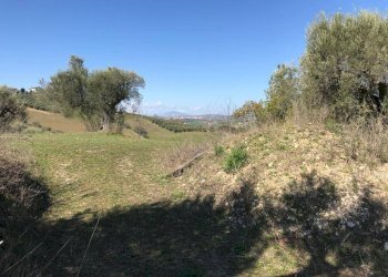 Foto 8 - Villa Via colle alto, Sant'Omero - foto 8