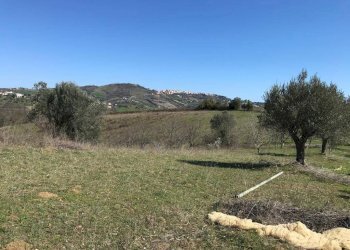 Foto 10 - Villa Via colle alto, Sant'Omero - foto 10