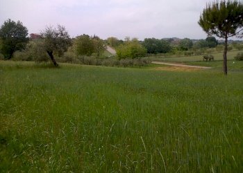 Foto 9 - Villa Via Nicola Rosati, Corropoli - foto 9