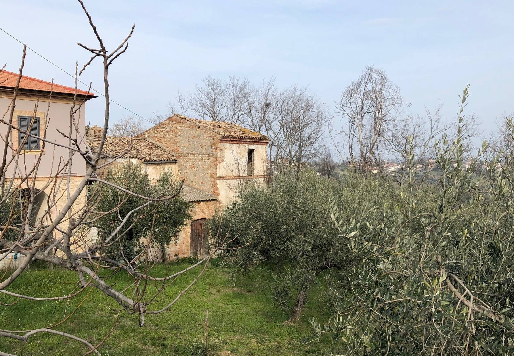 Foto 3 - Rustico Fonte Luca, Mosciano Sant'Angelo - foto 3