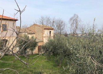 Foto 3 - Rustico Fonte Luca, Mosciano Sant'Angelo - foto 3