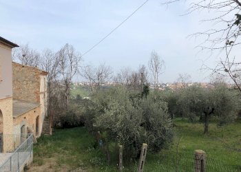 Foto 4 - Rustico Fonte Luca, Mosciano Sant'Angelo - foto 4