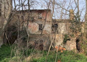 Foto 7 - Rustico Fonte Luca, Mosciano Sant'Angelo - foto 7