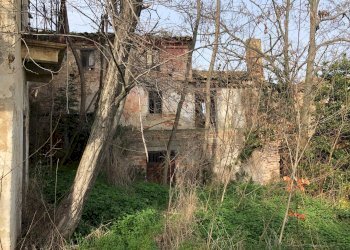 Foto 8 - Rustico Fonte Luca, Mosciano Sant'Angelo - foto 8