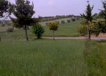 Foto 12 - Rustico Via Nicola Rosati, Corropoli - foto 12