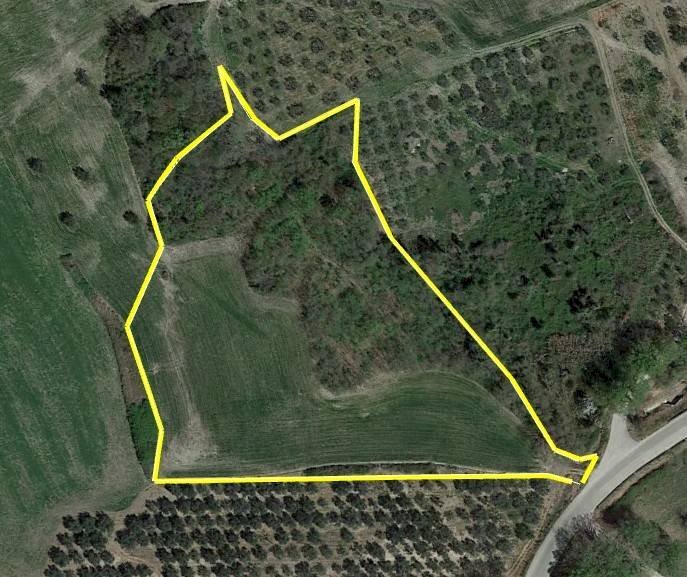 Foto 2 - Agricultural land Fondo Valle Treste, San Buono - photo 2