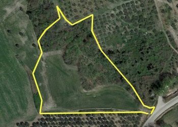 Foto 2 - Terreno agricolo Fondo Valle Treste, San Buono - foto 2