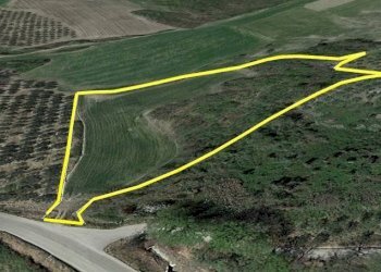 Foto 3 - Terreno agricolo Fondo Valle Treste, San Buono - foto 3