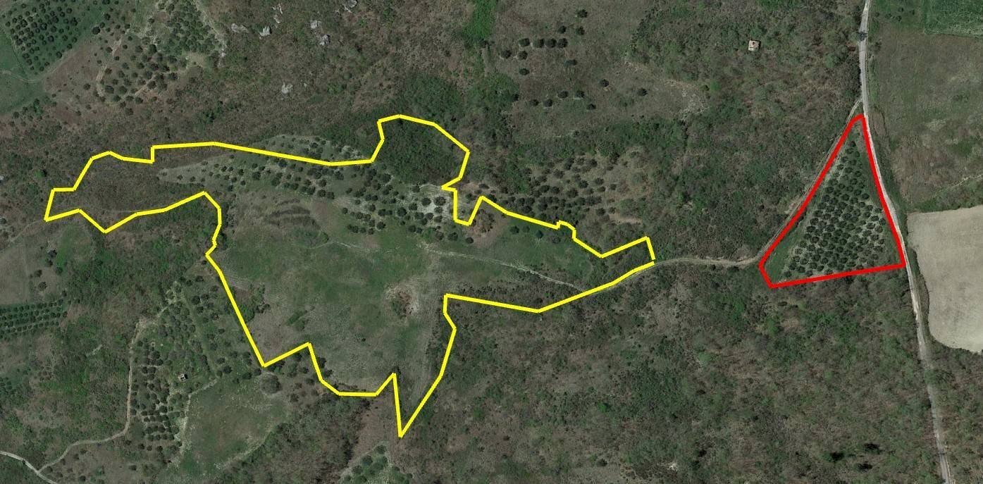 Foto 3 - Agricultural land Fondo Valle Treste, San Buono - photo 3