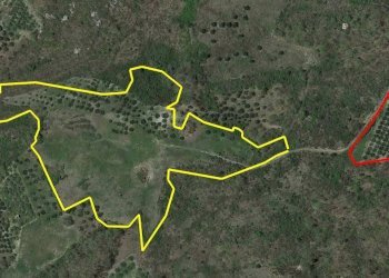 Foto 3 - Terreno agricolo Fondo Valle Treste, San Buono - foto 3