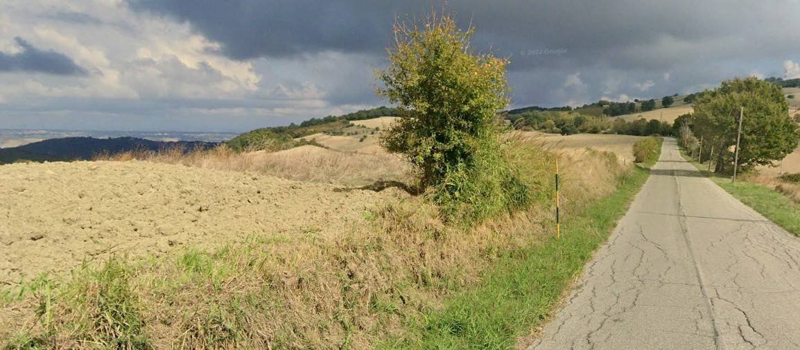 Foto 2 - Terreno agricolo Cantarelli, San Buono - foto 2