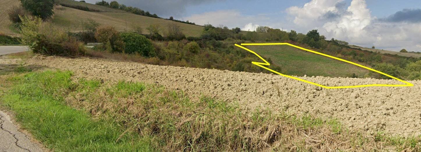 Foto 3 - Terreno agricolo Cantarelli, San Buono - foto 3