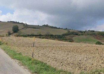 Foto 1 - Terreno agricolo Cantarelli, San Buono - foto 1