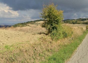 Foto 2 - Terreno agricolo Cantarelli, San Buono - foto 2