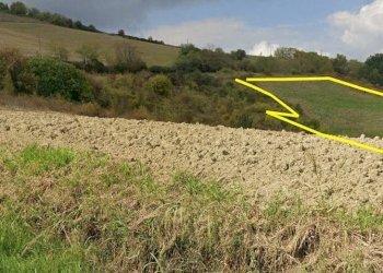 Foto 3 - Terreno agricolo Cantarelli, San Buono - foto 3