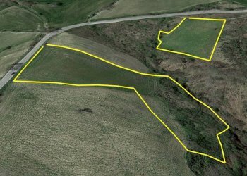 Foto 5 - Terreno agricolo Cantarelli, San Buono - foto 5