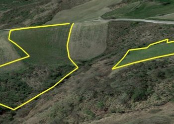 Foto 6 - Terreno agricolo Cantarelli, San Buono - foto 6