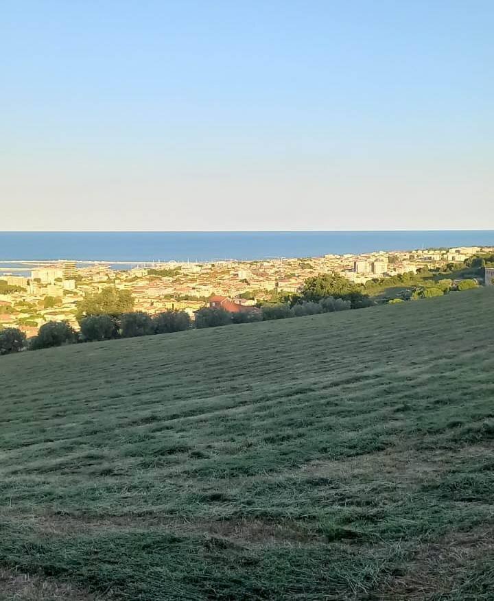 Foto 2 - Agricultural land Giulianova - photo 2
