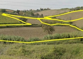 Foto 1 - Terreno agricolo C.da Passo della carrozza
 
6, Monteodorisio - foto 1