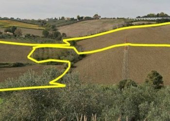 Foto 2 - Terreno agricolo C.da Passo della carrozza
 
6, Monteodorisio - foto 2