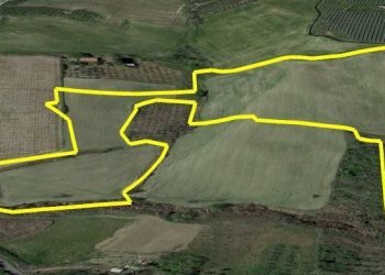 Foto 3 - Terreno agricolo C.da Passo della carrozza
 
6, Monteodorisio - foto 3