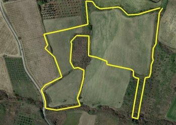 Foto 4 - Terreno agricolo C.da Passo della carrozza
 
6, Monteodorisio - foto 4