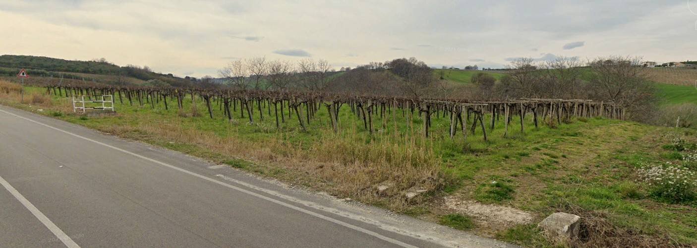 Foto 1 - Terreno agricolo contrada caltrucci, Scerni - foto 1