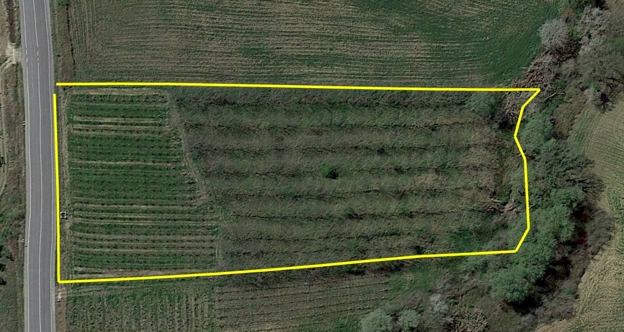 Foto 2 - Terreno agricolo contrada caltrucci, Scerni - foto 2