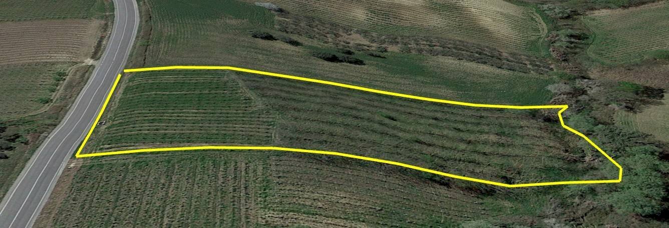 Foto 3 - Terreno agricolo contrada caltrucci, Scerni - foto 3