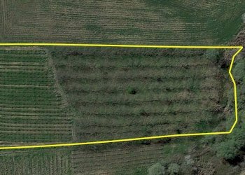 Foto 2 - Terreno agricolo contrada caltrucci, Scerni - foto 2